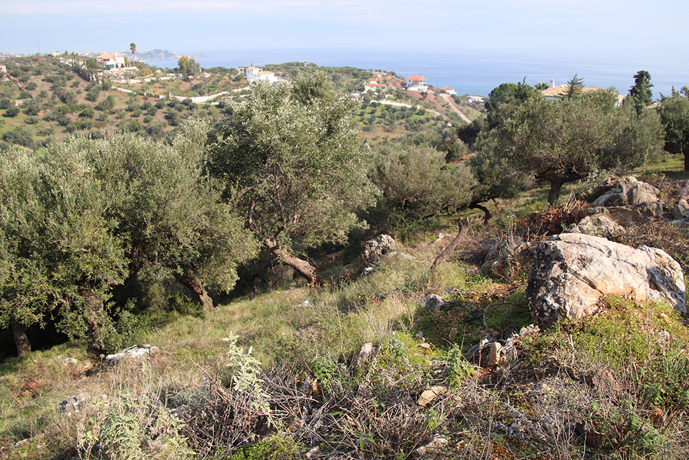 Baugrundstück nahe Koroni